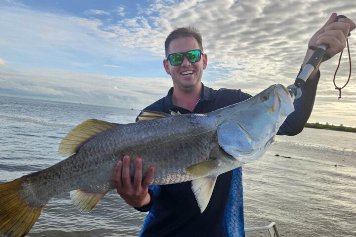 barramundi