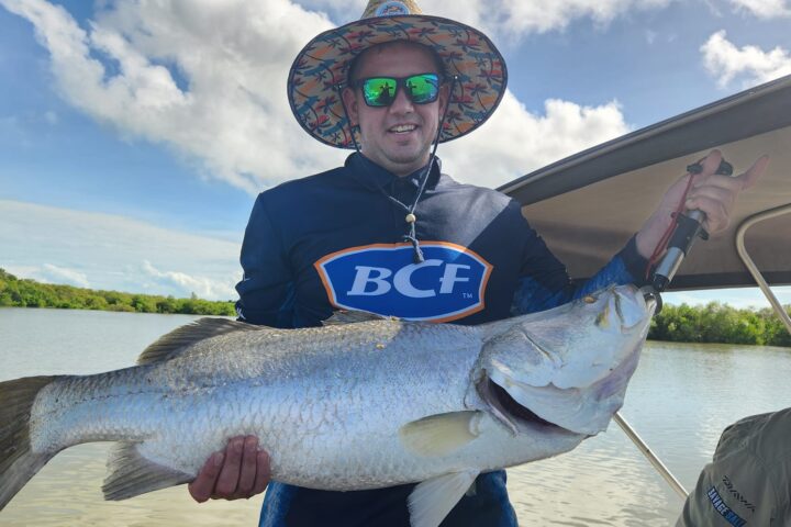 Meter plus barramundi