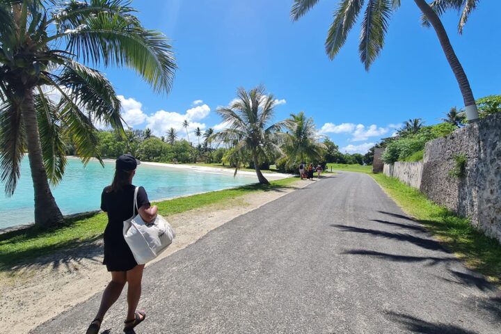 Person walking on a path by the beach with palm trees and blue sky.