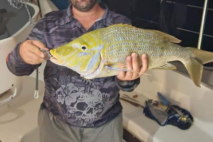 Man smiling and holding a large fish on a boat at night.