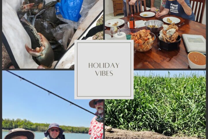 Collage with crabs, three men by dining table, fishing with fish, crocodile near water and grass, text 'Holiday Vibes'.