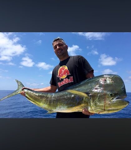 Person holding a large fish on a boat with a clear blue sky.