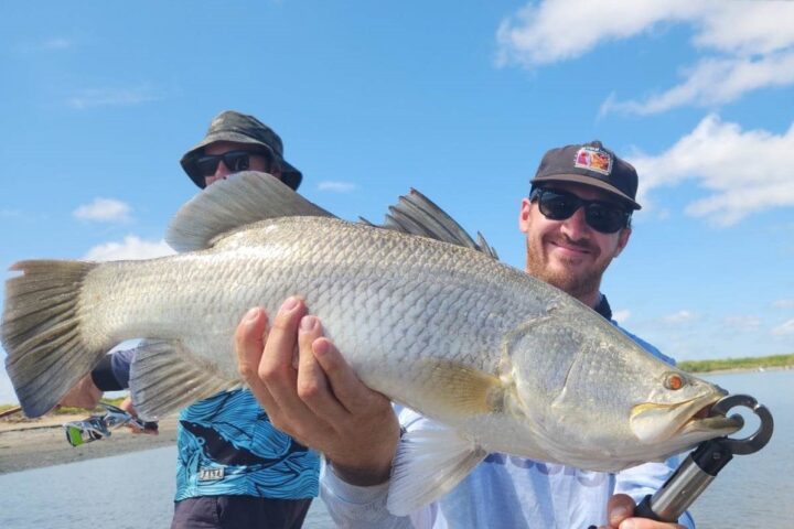 barramundi
